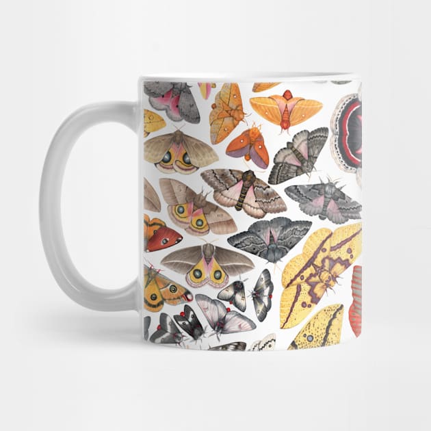 Saturniid Moths of North America Pattern by JadaFitch